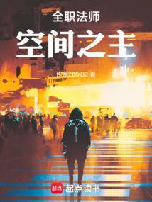 全职法师之空间至尊无弹窗完结