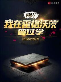 两界我在霍格沃茨留过学起点
