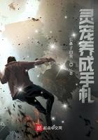 灵宠咋养