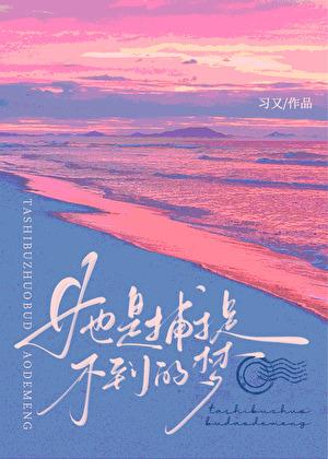 她是捕捉不到的梦全文阅读