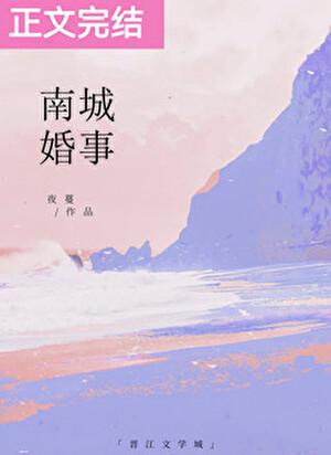 南城婚事晋江