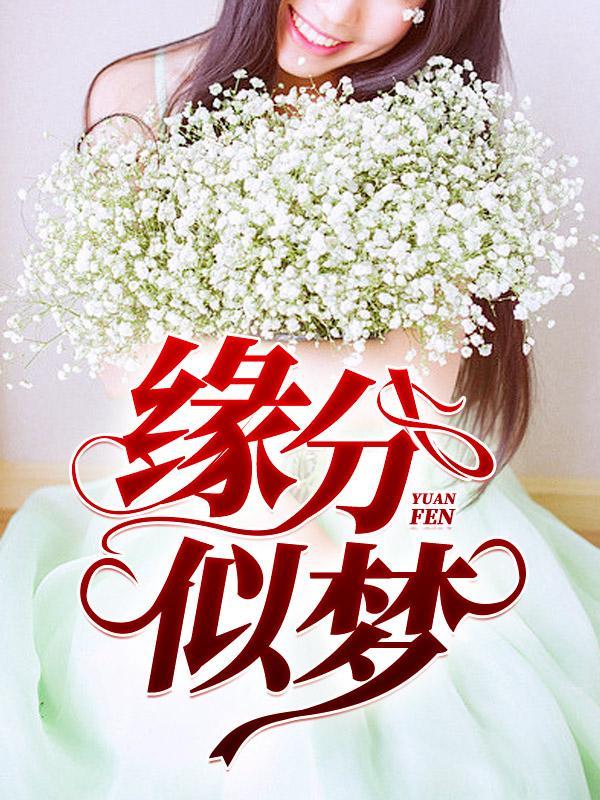 缘分似梦免费阅读无弹窗全文