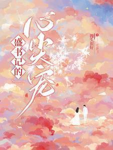 盛书记的心尖宠 盛怀安