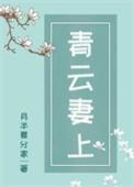 青云妻上百度