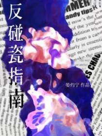 反碰瓷指南讲的什么