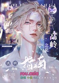 高岭之花甜宠文