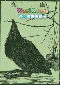 空壳设是什么意思