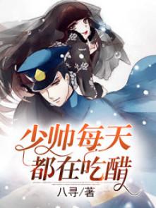 少帅每天都在吃醋全集