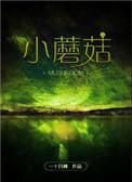 小蘑菇讲的什么故事