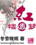 红楼 遗 梦