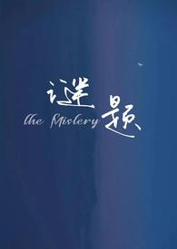 谜题羊怎么破解