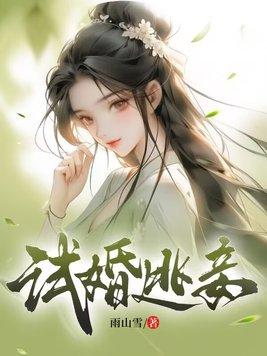试婚逃妾TXT