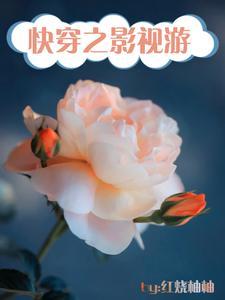快穿影视完结