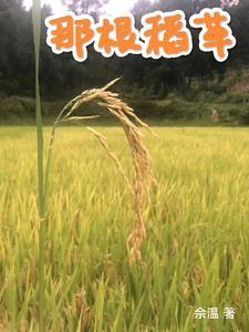 稻草根偏方