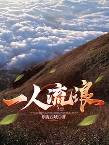 一个人流浪歌