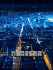可以回到过去的系统