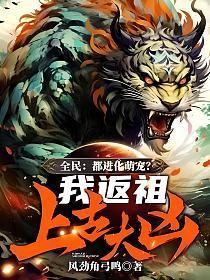 全民进化类型的