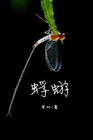 蜉蝣简谱