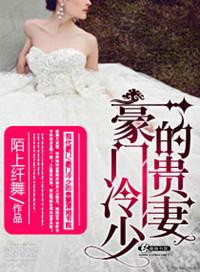 豪门冷少的挂名妻