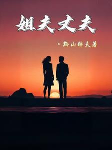 姐夫老公