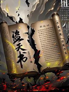 盗天书gl