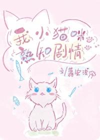 我小猫作文