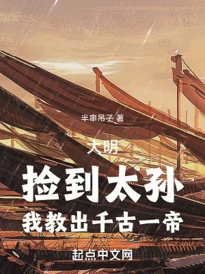 大明捡到太孙