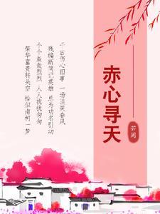 赤心寻天无错版笔趣阁