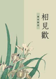 相见欢（兄妹纯 4）
